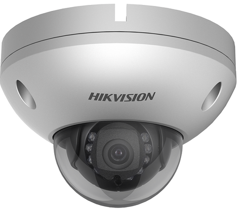 Hikvision Anti-Corrosion Network Dome Camera, Wf-2, Nema4X, C5-M, 4MP, 6mm, 120Db Wide Dynamic Range, 3 Video Streams, 10M IR, IP67